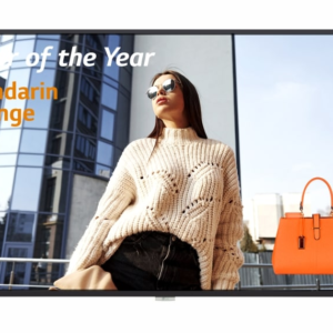 Slimline Professional Advertising Display